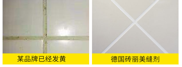 德國磚麗美縫劑_美縫膠_創(chuàng)業(yè)_加盟_招商_代理.jpg