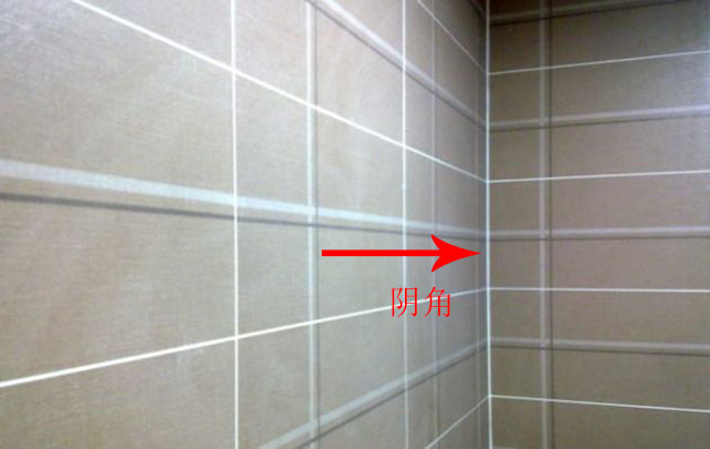 陰角