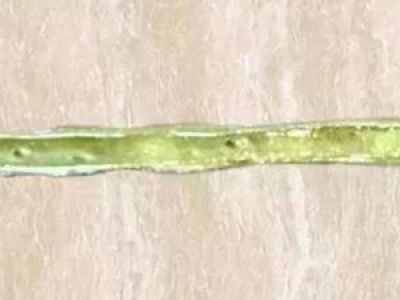 美縫劑冬天施工發(fā)脆？不說你不知道。