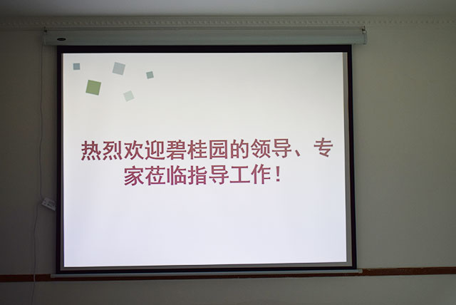 碧桂園領(lǐng)導(dǎo)、專家蒞臨德國CUALI磚麗指導(dǎo)工作